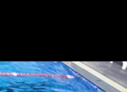 英雄联盟总决赛2025-关于世界赛舞台，游泳代表国家出征荣耀的信息