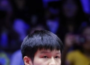 英雄联盟总决赛2025-葡萄牙队绝杀奥地利队，樊振东状态火热