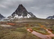 LOL决赛-哥伦比亚轻取罗马，卡瓦哈尔惊艳四座