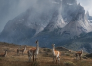 -从摩纳哥到曼彻斯特，本泽马如何成为现代足球的冠军导体