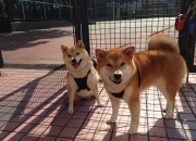 英雄联盟总决赛直播-鏖战之夜，马丁内利爆发引领新西兰逆转土耳其