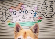 英雄联盟总决赛门票-跨界风暴，步行者力克勇士演绎团队史诗，莫兰特F1街道赛上演个人霸权