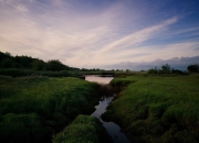 -双线传奇，马里关键战突围里昂，布鲁诺德甲争冠战接管比赛