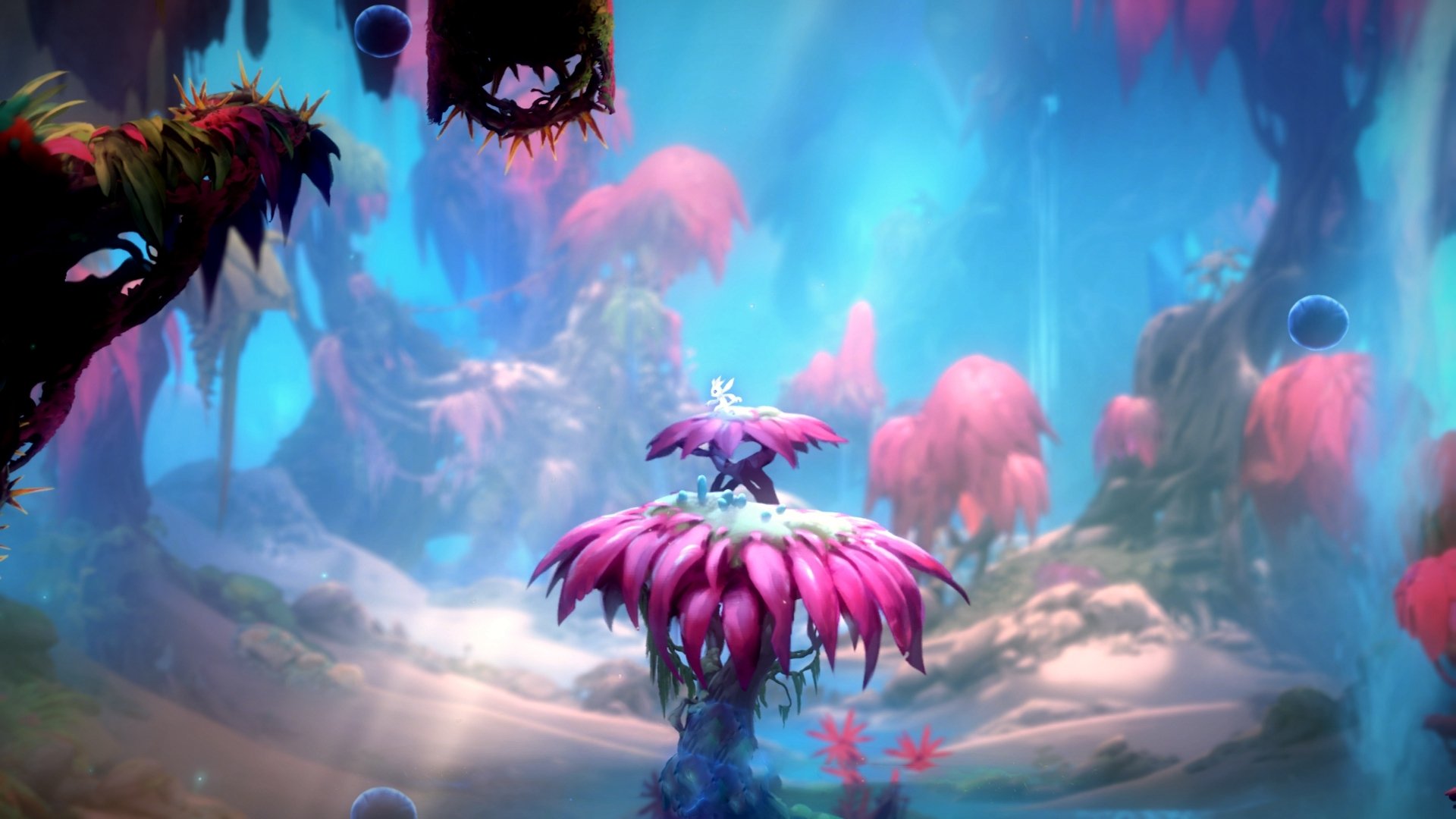 当足球天才降维打击F1赛场，黄喜灿在卡塔尔夜赛道完成史诗级接管