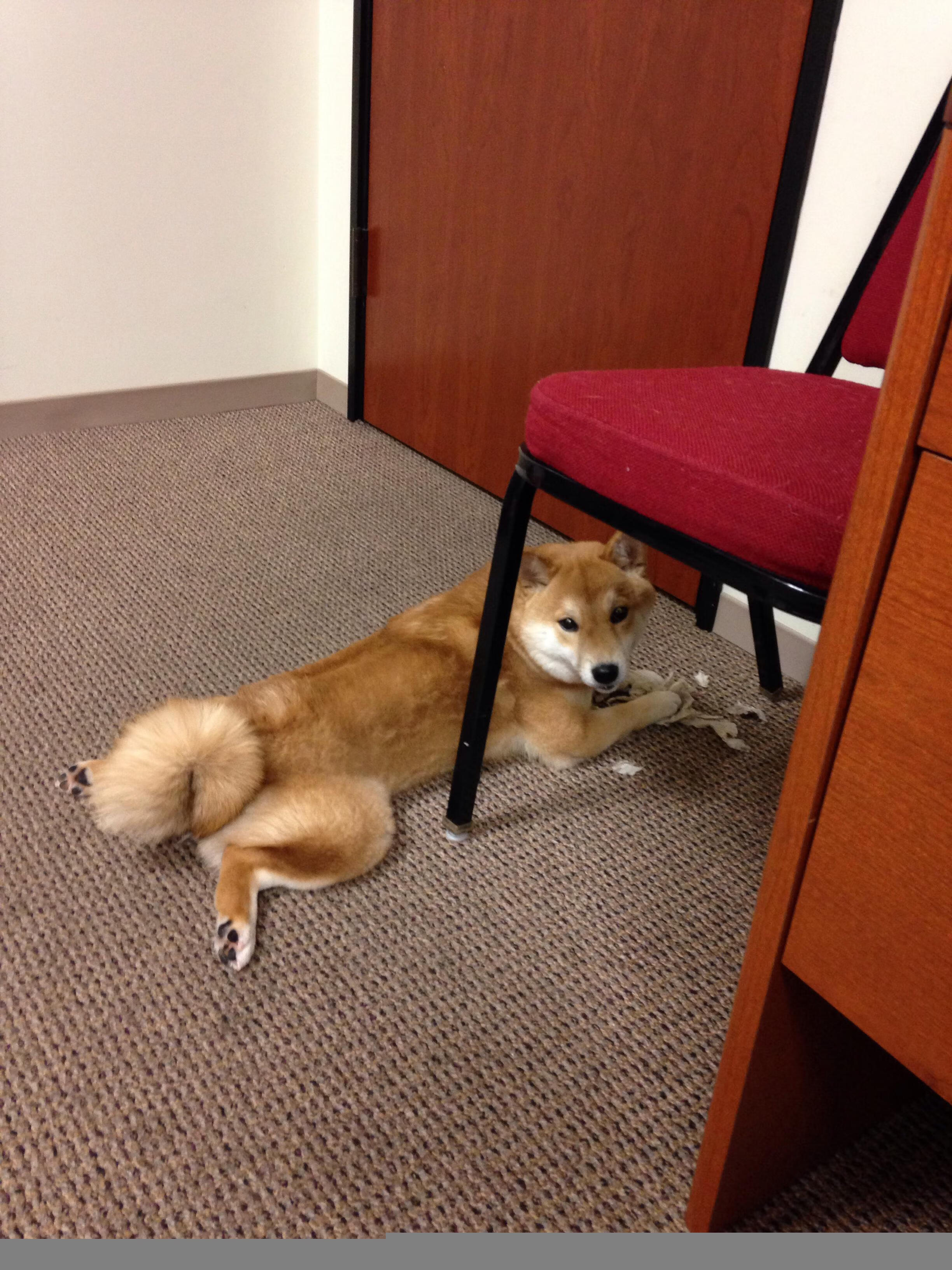 当马刺穿透尼克斯，小贾伦如何以无形之锋重塑赛场法则