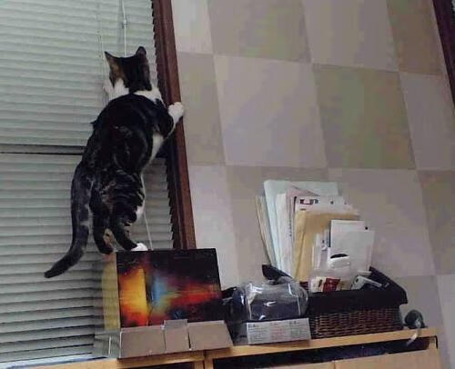 虚实之间，莱奥将存在感踢成实体，土耳其用矛盾辩证法击败爱尔兰