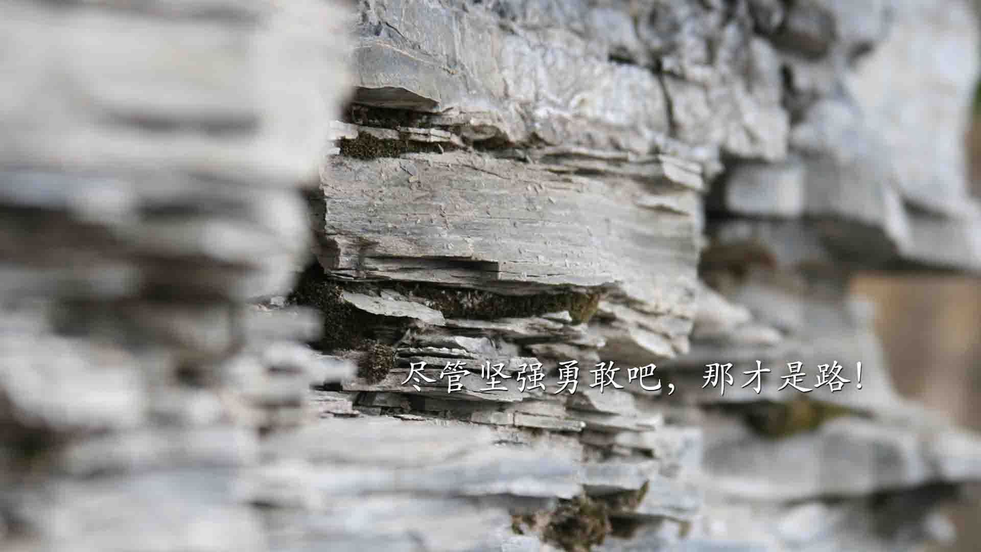 山西风暴席卷多伦多，当东方铁骑轻取猛龙，锡安在废墟中完成自我救赎