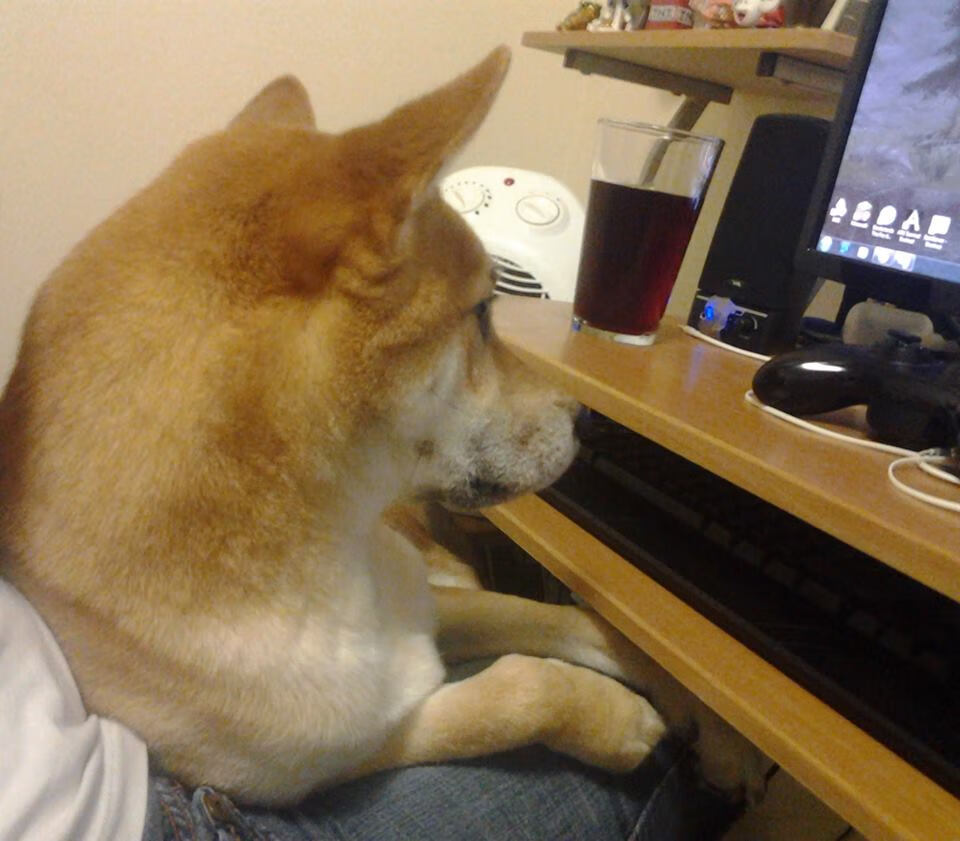 末日纪念碑前，布鲁诺为佛罗伦萨与南非签下新约