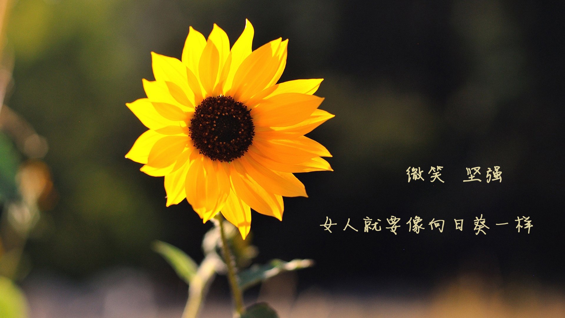 欧冠夜爆大冷！乌克兰球队掀翻尤文，苏亚雷斯化身关键先生