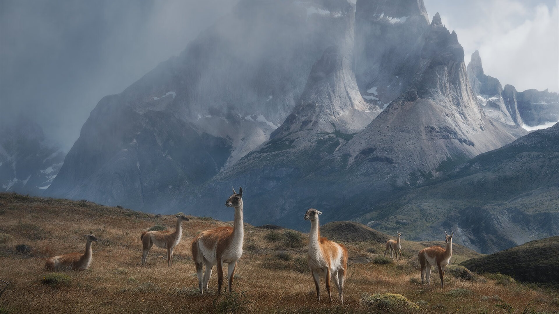 钢铁诗人在暗夜中写下唯一诗行，穆勒的压制级统治，如何让F1街道赛化为他的画布