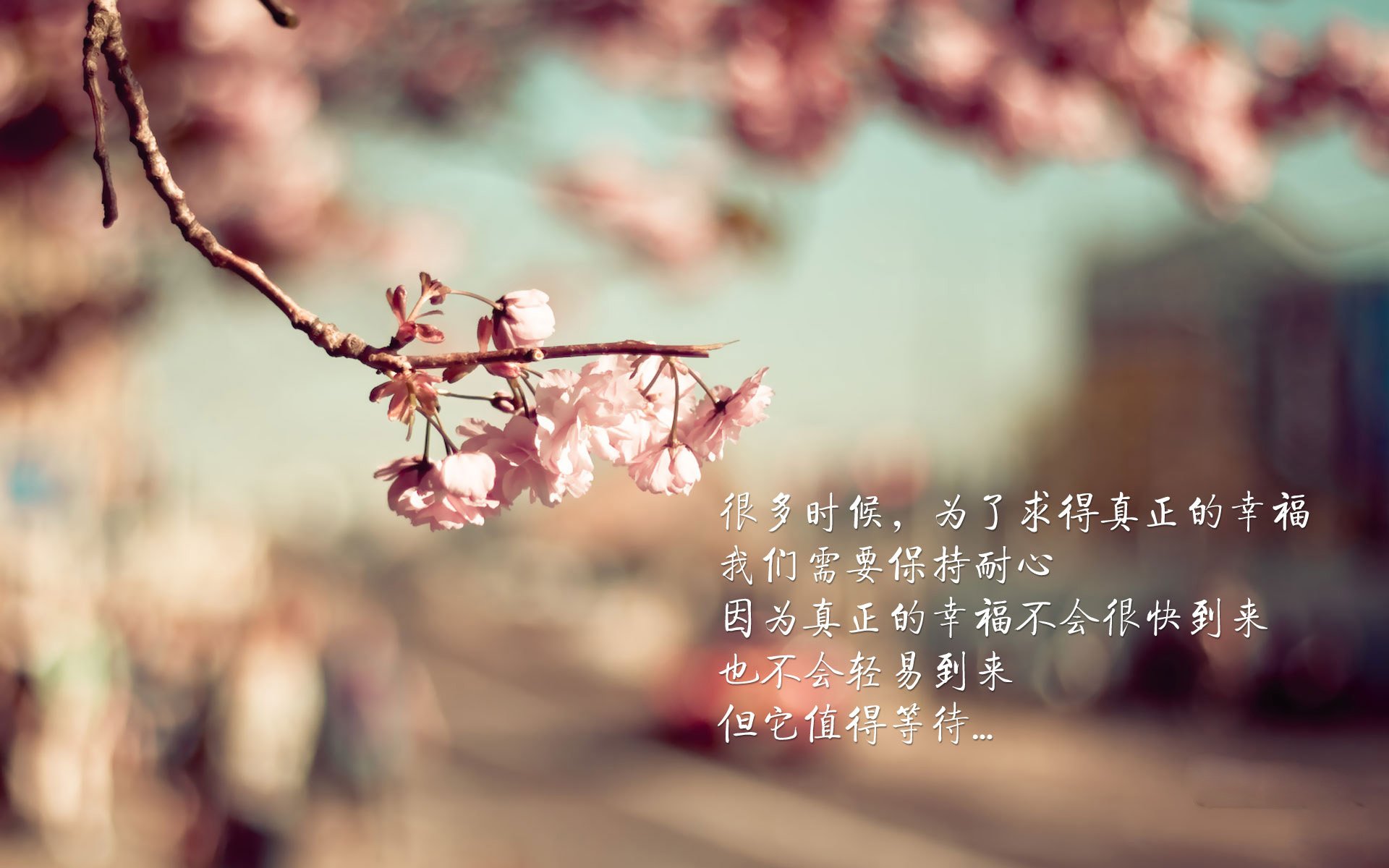 双面神迹，迪马利亚的刀刃与喀麦隆的洪流